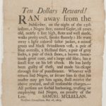 Advertisement regarding runaway slave, Woodstock, 1803