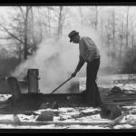 Maple sap boiling, Storrs, 1942