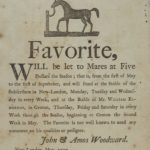 Noted stud horse favorite, New London and Groton, 1797