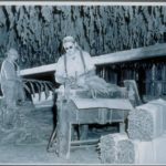 tobacco drying, East Windsor, 1948