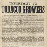 Tobacco Growers Mutual Insurance Co., Canaan, 1881