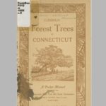 Common forest trees of Connecticut, 1925